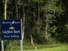 Lake Shore Ranch is a new community coming to Land O Lakes, FL.