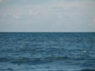 A boat dances on the horizon at Flagler beach