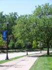 Burnsville, MN makes it a point to keep the city looking beautiful throughout the year.
