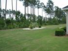 Rear yard Southern Landing home marketed by Chapman Realty