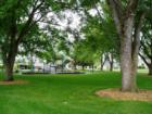 Lorraine Ellis Park, trees and playground