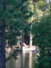 Pinecrest Lake Swimming Area