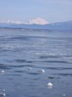 Camano Island waters frozen out look towards Mount Baker