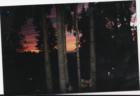 Camano Island Sunrise
