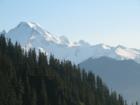 Mount Baker Area