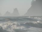 The wild coast near Kalaloch