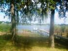 Clermont has many lakes that offer you the opportunity to go back to a quieter and peaceful time.  Many of these are untoched or preserved to be enjoyed by futures generations