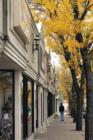 Downtown Homewood