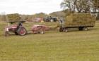 Beecher Farm