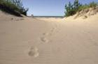 Miller Beach