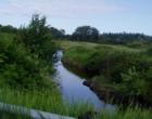 Creek near the marina area