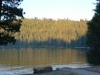 Pinecrest Lake - South Shore
