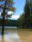 Pinecrest Swimming Area