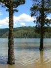 Pinecrest - High Water Line