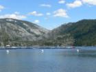 Pinecrest