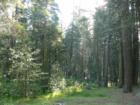 Pinecrest Campground