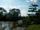 Lake and bridge at the Morikami Museum.