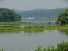 Susquehanna River at Washington Boro Park