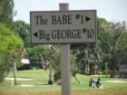 You choose 9 holes... or all 18!