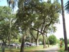 forest hills