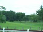 forest hills golf
