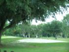 bab zaharias golf coarse in forest hills (TAMPA)