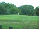 rolling plush greens in forest hills (TAMPA)