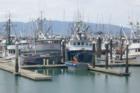 Bellingham's Fishing Fleet