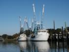McClellanville's famous shrimp boat fleet