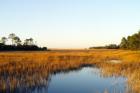 The Carolina's best kept secret