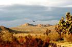 Desert View Photo taken by Greg Hansmann