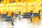 Photo taken at Apollo Park in West Lancaster 
      Photo taken by Greg Hansmann