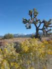 Desert View looking towards Mountain High Resort 