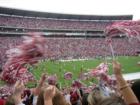 Alabama Fans at a University of Alabama football game