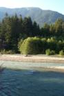 The Nooksack River