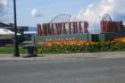 Bellwether
