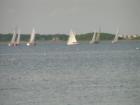 Sailboat racing Buzzards Bay