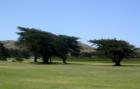 Sharp Park golf course