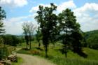 MARSHALL, N.C. Winding Road Goes Through Family Horse Farm of 30 Acres with Views of Mountains in the Distance.
