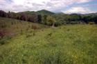 MARSHALL, N.C. Equestrian Property.