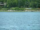Swansea Town Beach-Boat Ramp