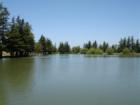There is no swimming or boating allowed so it can be very peaceful.