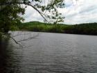 Extremely Good Feed For Fish Make Timoney The Place To Fish!