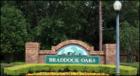 Hunter's Creek Braddock Oaks