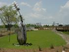 Waterfront Park  & Amphitheatre