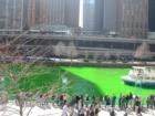 The CHicago River is died GREEN on Saint Patricks Day!