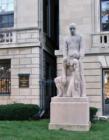 International College of Surgeons