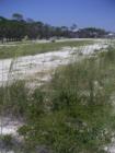 View from the Isle Dauphine Golf Club with DeSoto Landing community in the BG.