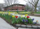Lincolnland College