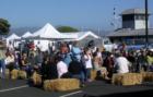 At the concert in the Princeton harbour